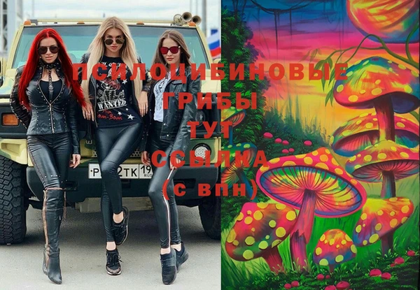 соль ск Абаза