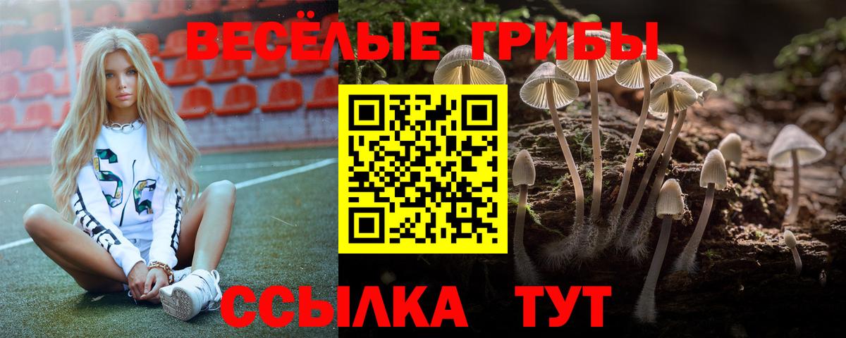 Псилоцибиновые грибы MAGIC MUSHROOMS  Псилоцибиновые грибы Psilocybe  Вход с VPN  Богородицк 